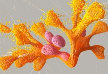 Catalog of genetic mutations to help indicate the cause of diseases