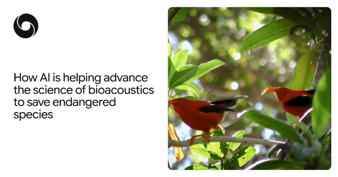 How artificial intelligence is helping advance the science of bioacoustics to save endangered species How artificial intelligence is helping advance the science of bioacoustics to save endangered species