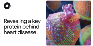 AlphaFold reveals key protein responsible for heart disease