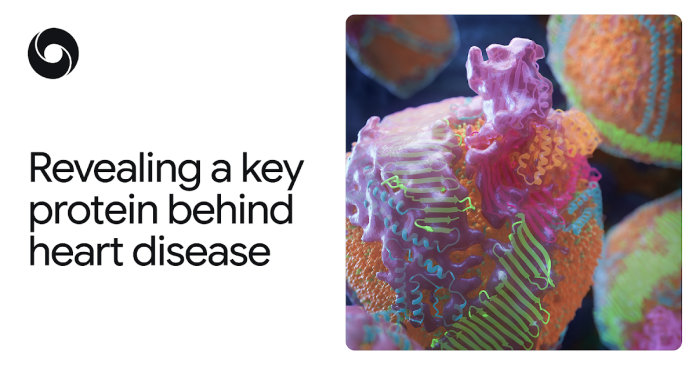 AlphaFold reveals key protein responsible for heart disease AlphaFold reveals key protein responsible for heart disease