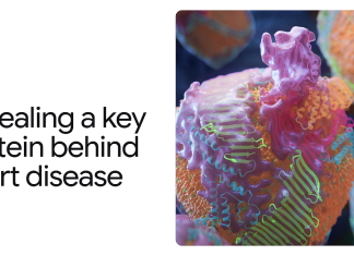 AlphaFold reveals key protein responsible for heart disease