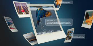 Examination of the context of online images with history
