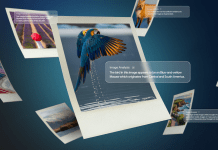 Examination of the context of online images with history