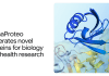 AlphaProteo generates new proteins for research in biology and health