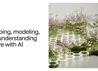 Three ways Google scientists are using artificial intelligence to better understand nature