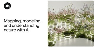 Three ways Google scientists are using artificial intelligence to better understand nature