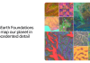 AlphaEarth Foundations helps map our planet in unprecedented detail