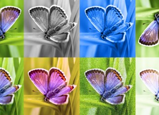 Identification of images generated by AI with a synthesizer