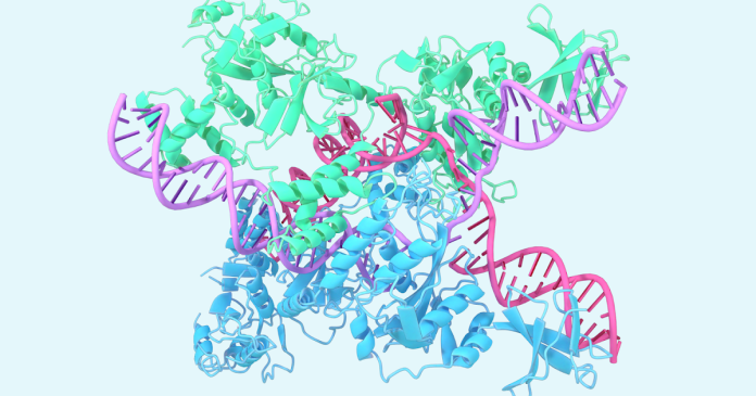 Look at the next generation of Alphafold Look at the next generation of Alphafold