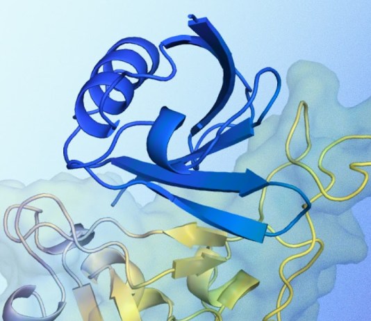 Alphaproteo generates new proteins for biology and health tests
