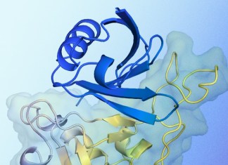 Alphaproteo generates new proteins for biology and health tests
