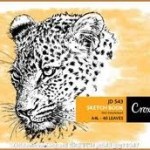 Croxley JD543 40 Leaves A4L Sketch Book (10 Pack) Croxley JD543 40 Leaves A4L Sketch Book (10 Pack)
