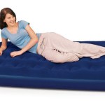Bestway – Flocked Twin Airbed – Blue Bestway – Flocked Twin Airbed – Blue