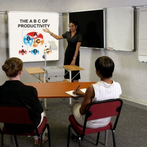 Parrot Easy Rail Mounting Bracket Set – Long Parrot Easy Rail Mounting Bracket Set – Long