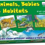 Creatives Animals Babies & Their Habitats Creatives Animals Babies & Their Habitats