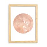 Master Betty Test Of What Colour Master Betty Test Of What Colour