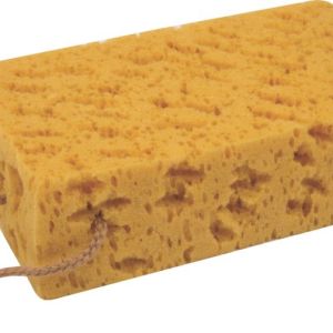 Motoquip – Jumbo Sponge – Coral Motoquip – Jumbo Sponge – Coral