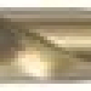 Fox Tools – Drill Bit HSS Cobalt (5% Co) – 7.5mm Fox Tools – Drill Bit HSS Cobalt (5% Co) – 7.5mm