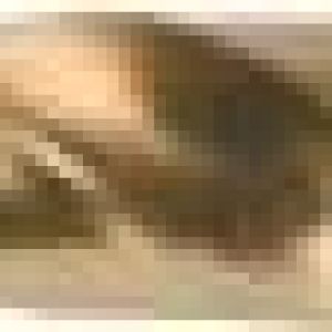 Fox Tools – Drill Bit HSS Cobalt (5% Co) – 11.0mm Fox Tools – Drill Bit HSS Cobalt (5% Co) – 11.0mm