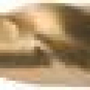 Fox Tools – Drill Bit HSS Cobalt (5% Co) – 11.5mm Fox Tools – Drill Bit HSS Cobalt (5% Co) – 11.5mm