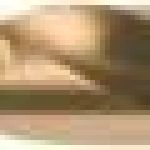 Fox Tools – Drill Bit HSS Cobalt (5% Co) – 12.5mm Fox Tools – Drill Bit HSS Cobalt (5% Co) – 12.5mm