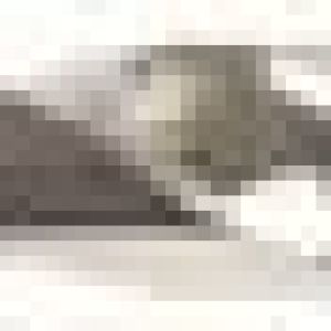 Fox Tools – Drill Bit Masonry Sleeve – 6mm x 100mm – Blue Fox Tools – Drill Bit Masonry Sleeve – 6mm x 100mm – Blue