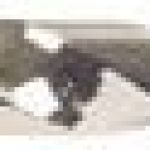 Fox Tools – Drill Bit Masonry Sleeve – 13.0 x 150mm Fox Tools – Drill Bit Masonry Sleeve – 13.0 x 150mm