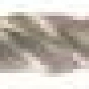 Fox Tools – Drill Bit SDS+ Standard Flute – 7.0 x 160/100mm Fox Tools – Drill Bit SDS+ Standard Flute – 7.0 x 160/100mm