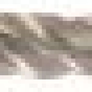 Fox Tools – Drill Bit SDS+ Standard Flute – 8.0 x 160/100mm Fox Tools – Drill Bit SDS+ Standard Flute – 8.0 x 160/100mm