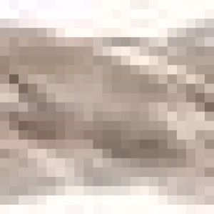 Fox Tools – Drill Bit SDS+ Standard Flute – 25.0 x 450/400mm Fox Tools – Drill Bit SDS+ Standard Flute – 25.0 x 450/400mm