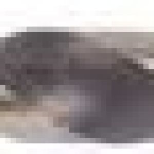 Fox Tools – Drill Bit Concrete – 8.0 x 100mm Fox Tools – Drill Bit Concrete – 8.0 x 100mm