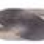 Fox Tools – Drill Bit Concrete – 9.0 x 120mm Fox Tools – Drill Bit Concrete – 9.0 x 120mm