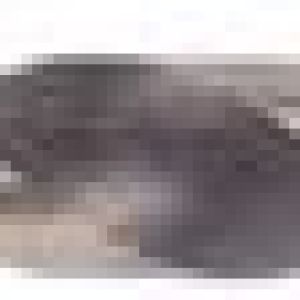 Fox Tools – Drill Bit Concrete – 9.0 x 120mm Fox Tools – Drill Bit Concrete – 9.0 x 120mm