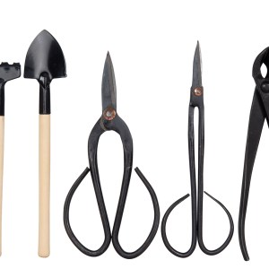 Fragram – Bonsai Kit – 7 Piece Fragram – Bonsai Kit – 7 Piece