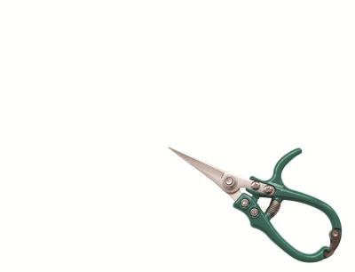 Raco – Straight Needle Nose Palm Shear Raco – Straight Needle Nose Palm Shear