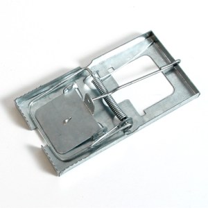 Trap Mouse Steel 120mmx65mm 1/Pkt Trap Mouse Steel 120mmx65mm 1/Pkt