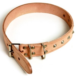 Dog Collar Leather Rivetted 13mmx350mm Dog Collar Leather Rivetted 13mmx350mm