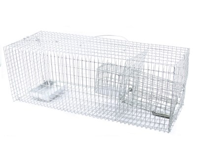 Trap Rat Wire Cage Trap Rat Wire Cage