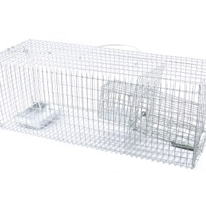 Trap Rat Wire Cage Trap Rat Wire Cage