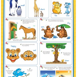 Marlin Kids Chart – Opposites Marlin Kids Chart – Opposites
