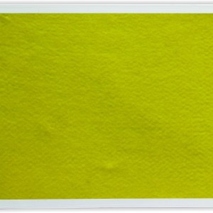 Parrot Info Board Aluminium Frame – Yellow Felt (1200 x 1200mm) Parrot Info Board Aluminium Frame – Yellow Felt (1200 x 1200mm)