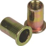 Riveter Fascor Fh40|60 8mm R|nut Ins Riveter Fascor Fh40|60 8mm R|nut Ins