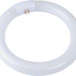 Osr F|tube Circ 32w C|white Bx Per12 Osr F|tube Circ 32w C|white Bx Per12