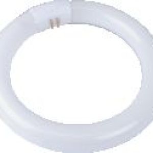 Osram F/Tube Circ 22W – C/White Osram F/Tube Circ 22W – C/White