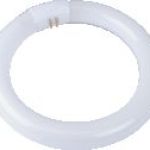 Osram F/Tube Circ 22W – C/White Osram F/Tube Circ 22W – C/White