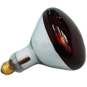 Kaufmann Chicken Sicca Thermo Lamp Globe – Par 38 (250W) Kaufmann Chicken Sicca Thermo Lamp Globe – Par 38 (250W)