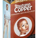 Sta-Sof-Fro Be Autumn Copper – 110ml Sta-Sof-Fro Be Autumn Copper – 110ml