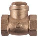 Torrenti Brass Check Swing Valve – 65mm Torrenti Brass Check Swing Valve – 65mm
