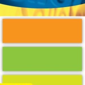 Repositionable: Paper Flags – 50 x 20mm – 4 Assorted Neon Colours Repositionable: Paper Flags – 50 x 20mm – 4 Assorted Neon Colours
