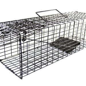 SourceDirect Humane Live Rat & Mouse Trap & Cage (400 x 125 x 125mm) SourceDirect Humane Live Rat & Mouse Trap & Cage (400 x 125 x 125mm)